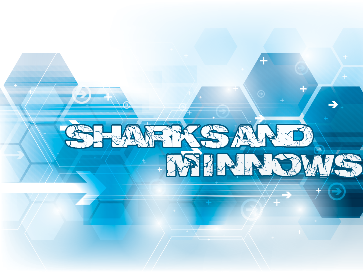 sharks and minnows